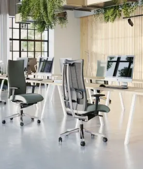 Action (oparcie tapicerowane)